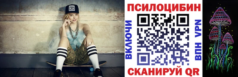 где продают   Ревда  Псилоцибиновые грибы Cubensis 
