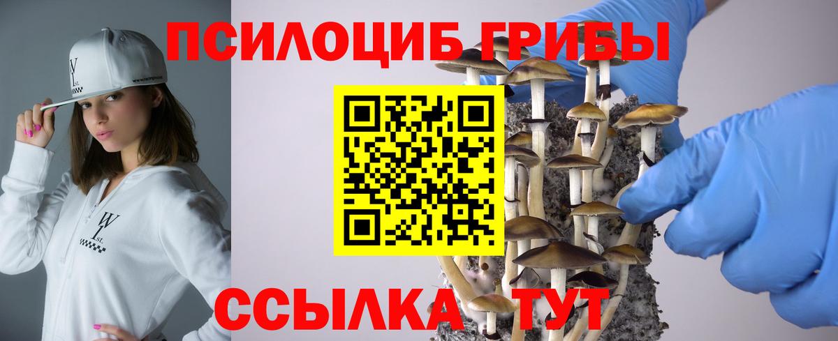 Псилоцибиновые грибы Psilocybe  Вход с VPN  Ревда 